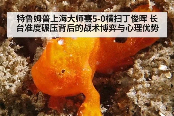 特鲁姆普上海大师赛5-0横扫丁俊晖 长台准度碾压背后的战术博弈与心理优势