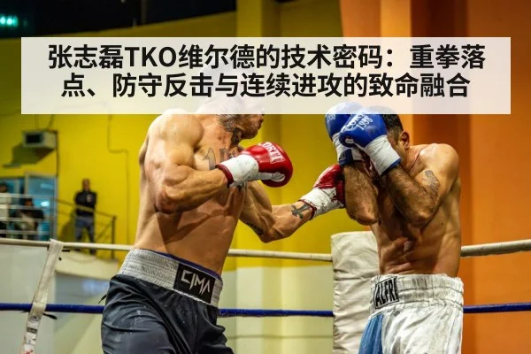 张志磊TKO维尔德的技术密码:重拳落点、防守反击与连续进攻的致命融合